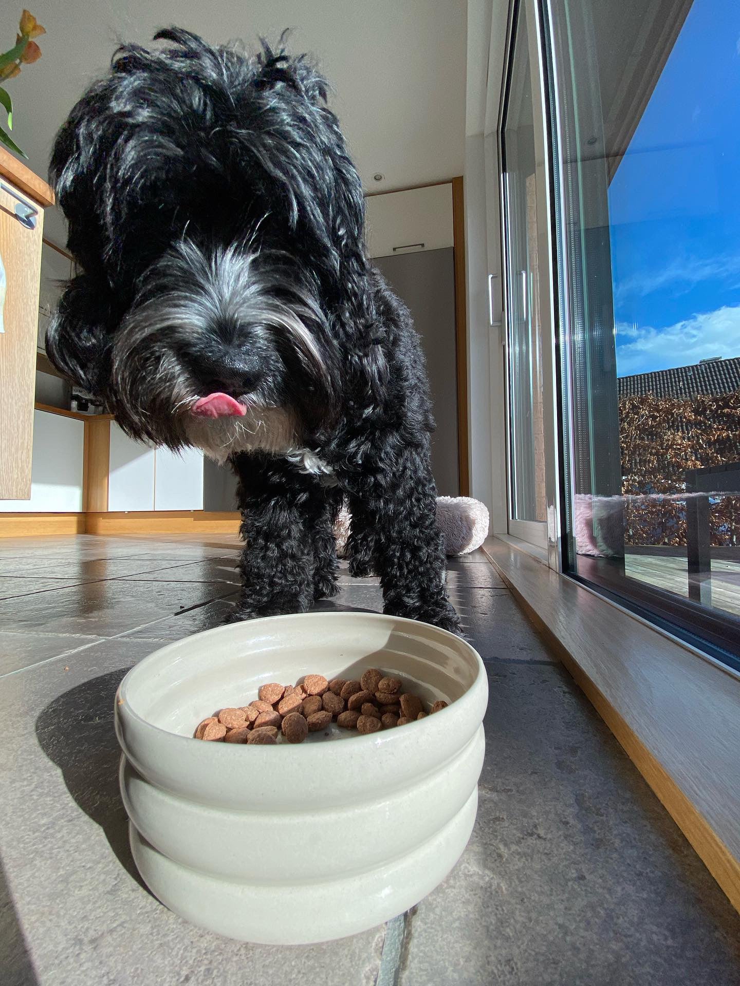 Dog Bowl - Beige (Customizable)