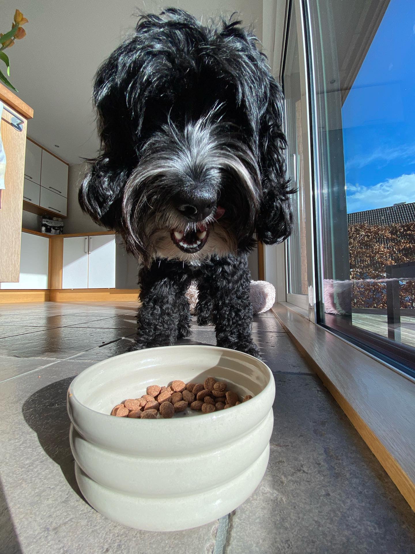 Dog Bowl - Beige (Customizable)