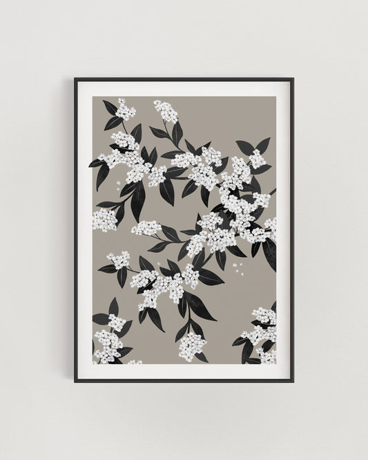 Fleurs Poster