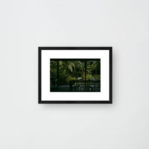 Silence of the Jungle Print