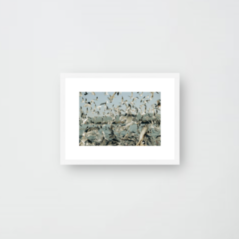 Boat trip in the north of Pacific Ocean Print