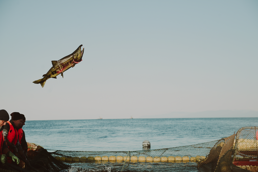 Fishermen on the dispute island of Iturup in the Pacific Ocean