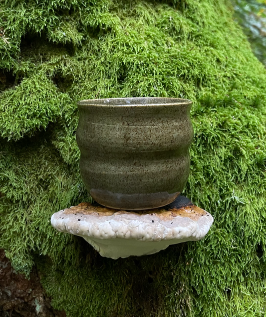 Glänta Cup - Moss