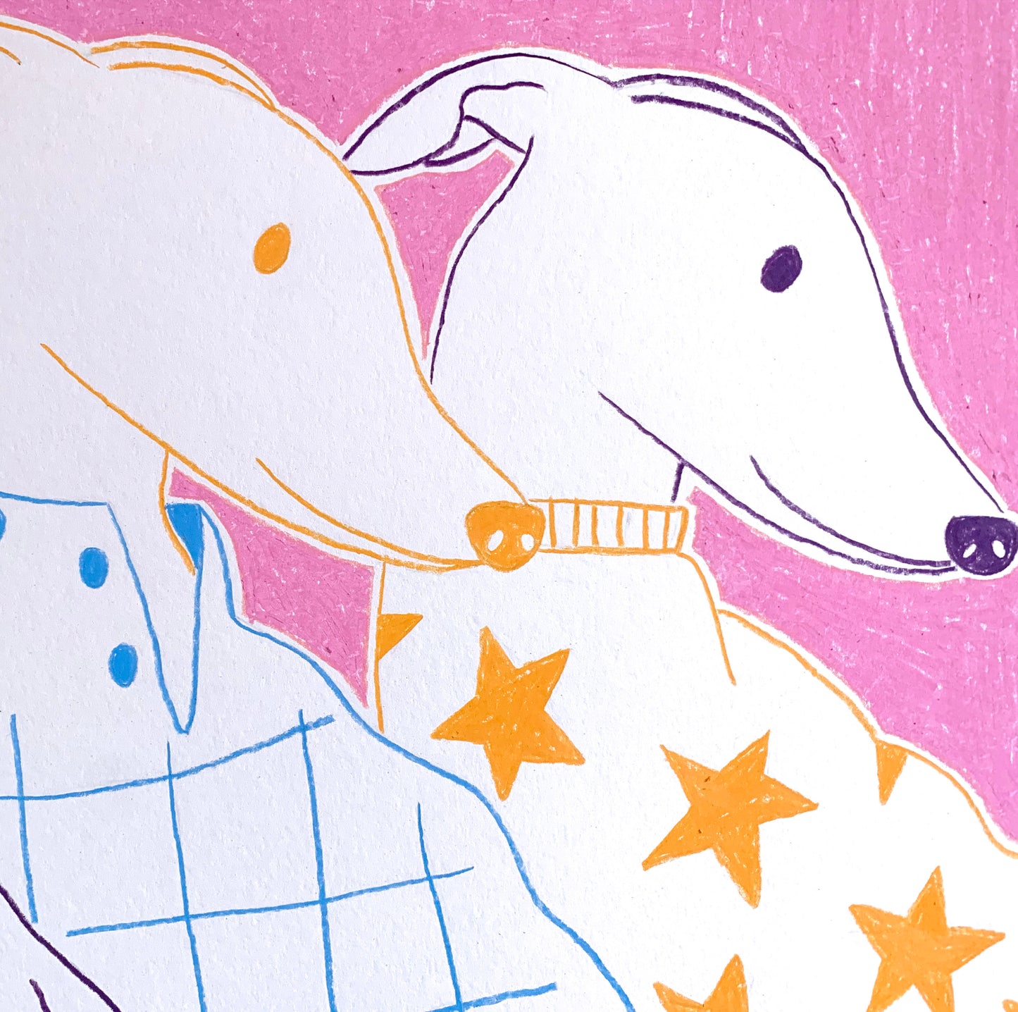 Galgos dogs drawing