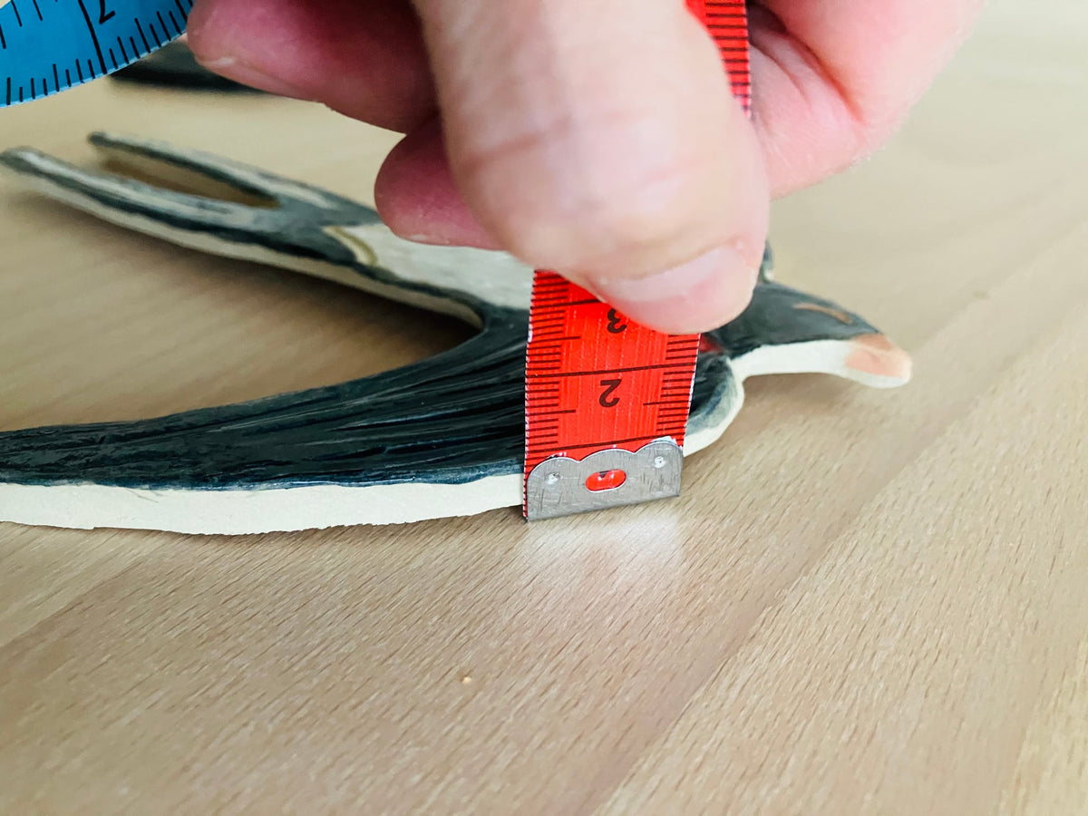 Image at position 5