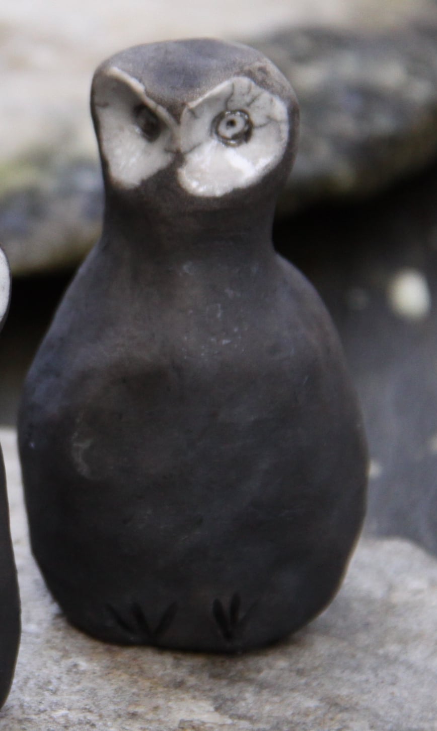 Image at position 1
