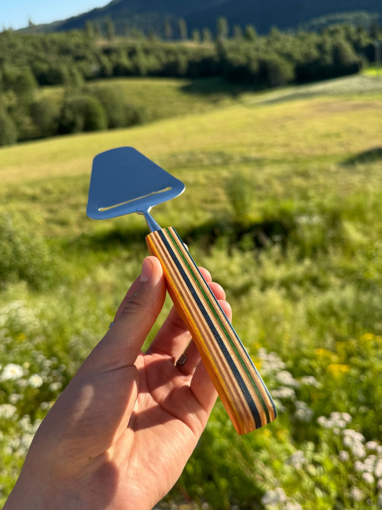 Image at position 6