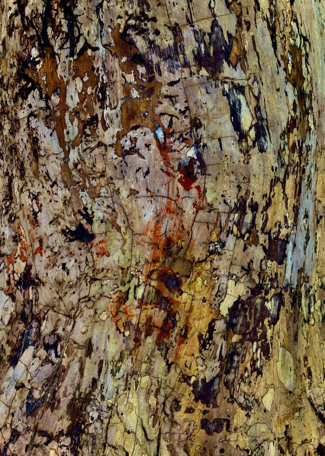 Image at position 1