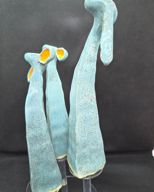 Image at position 2