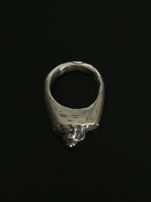 Image at position 2