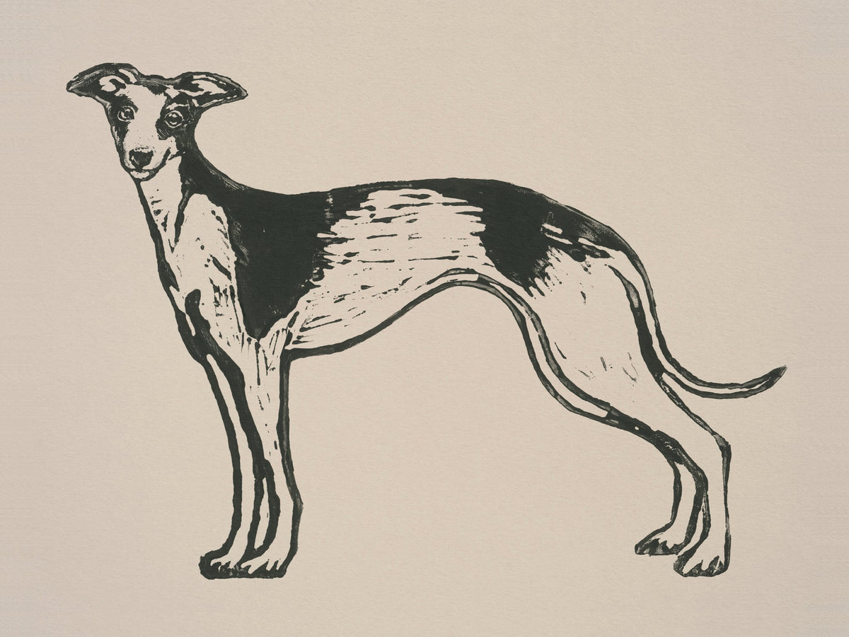 Image at position 2