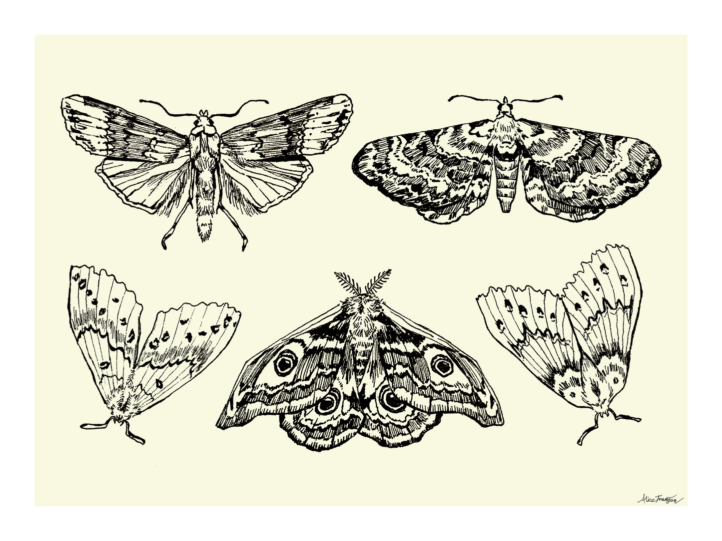 Image at position 3