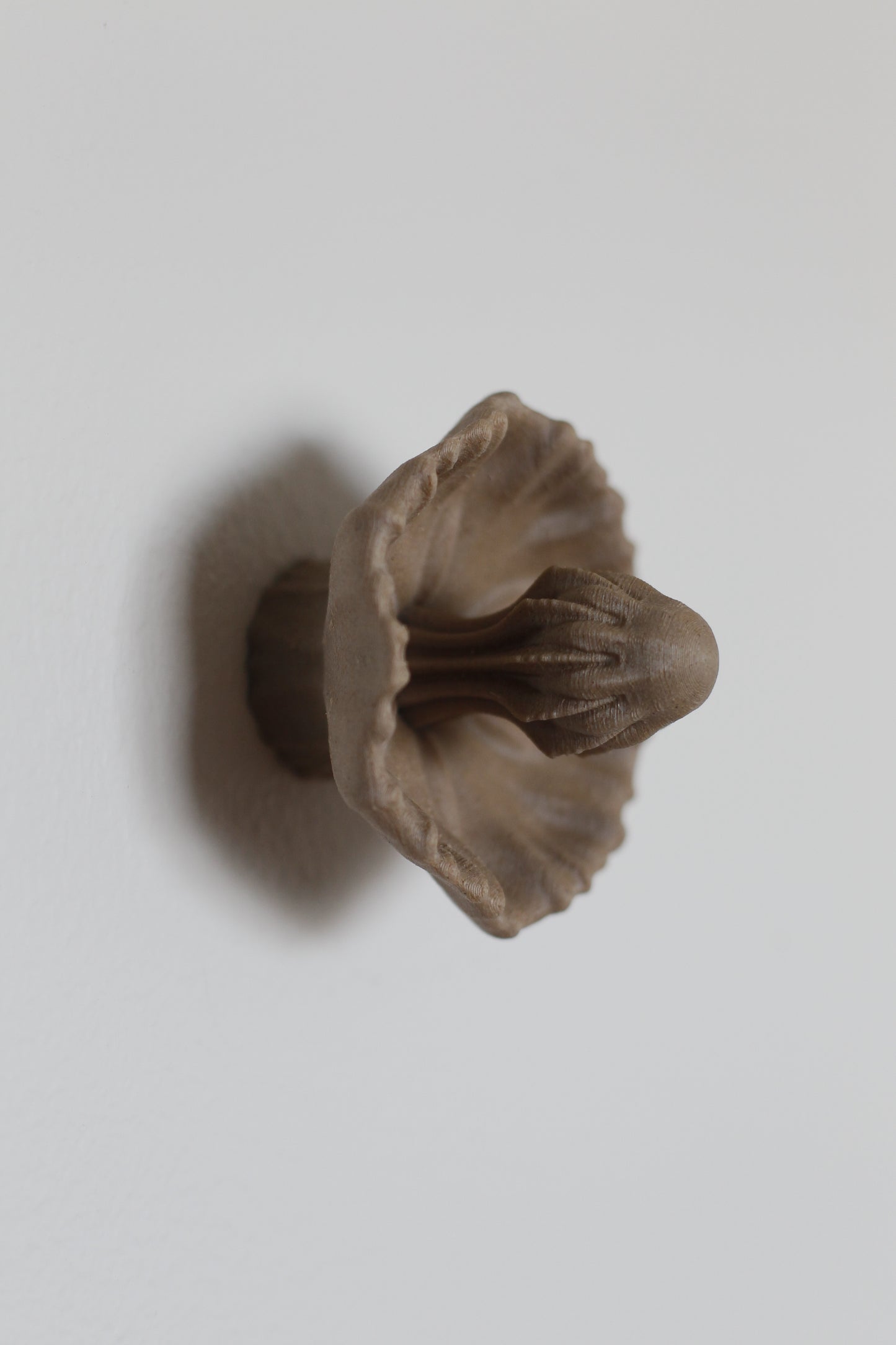 Image at position 1