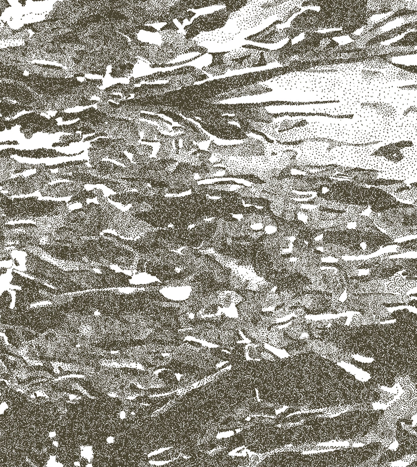 Image at position 4