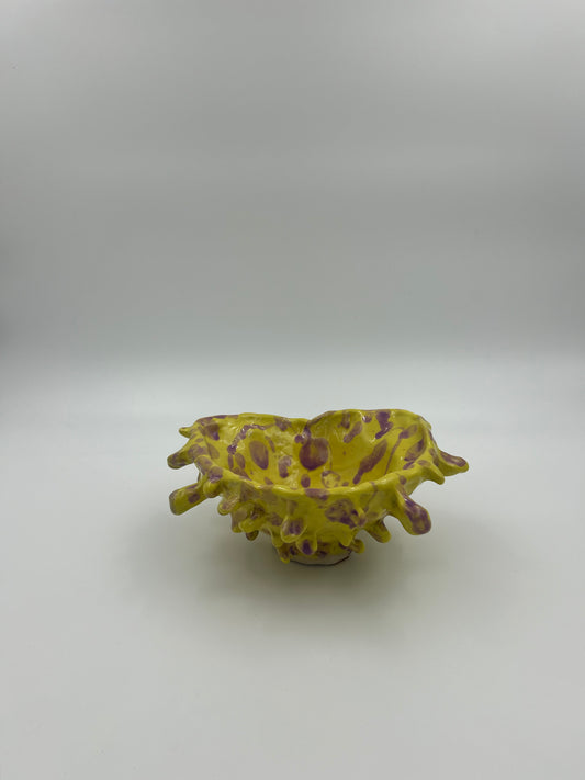 Image at position 1