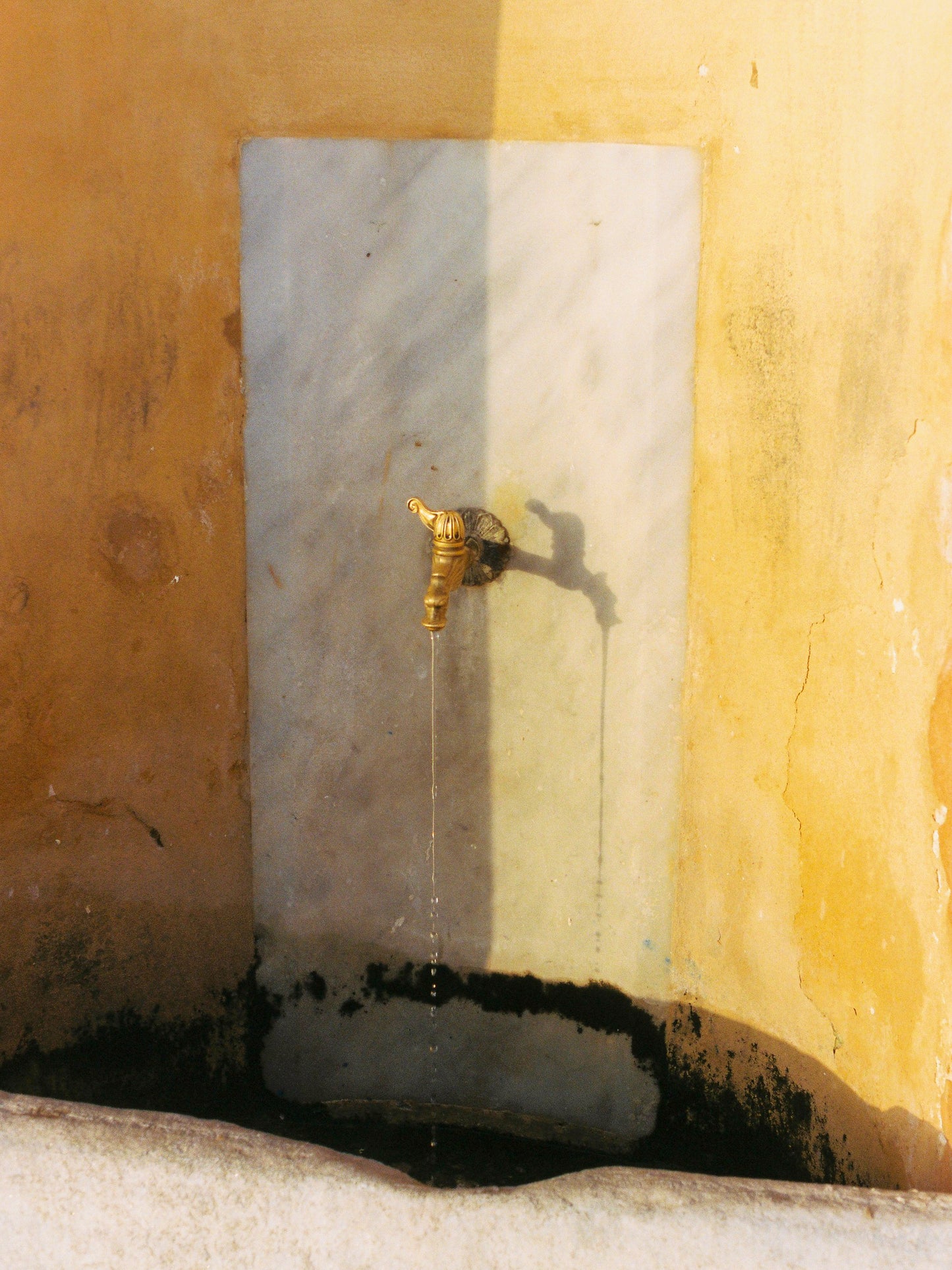 Image at position 1