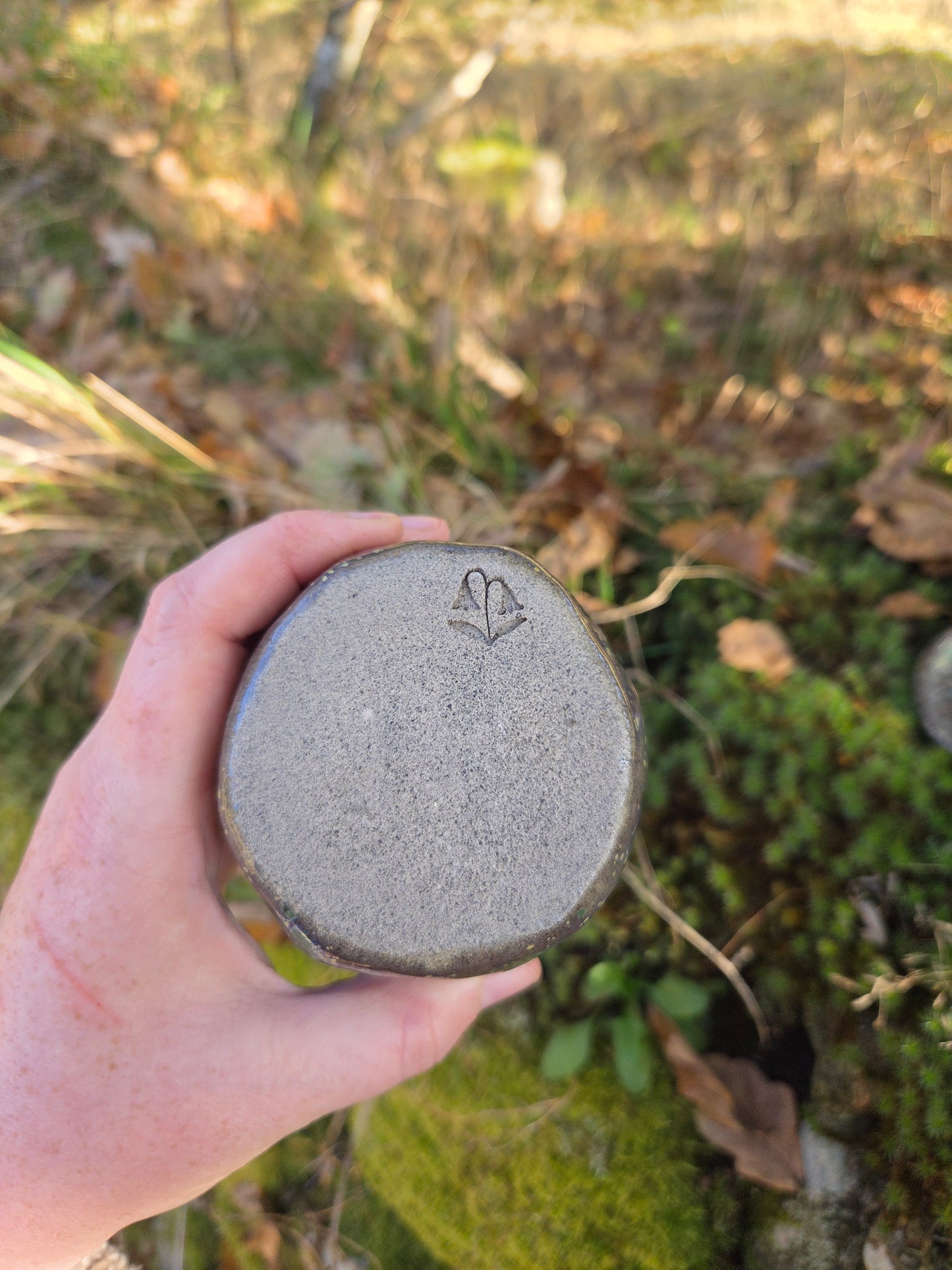 Image at position 5