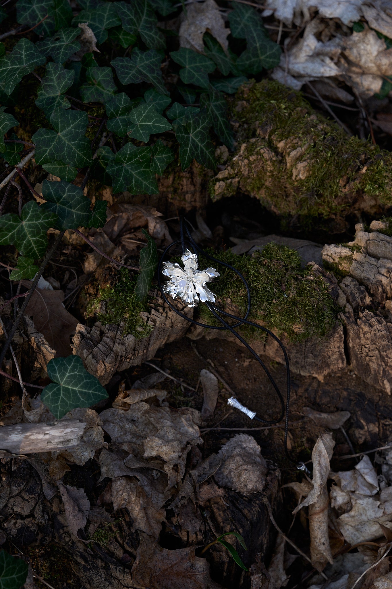 Image at position 4