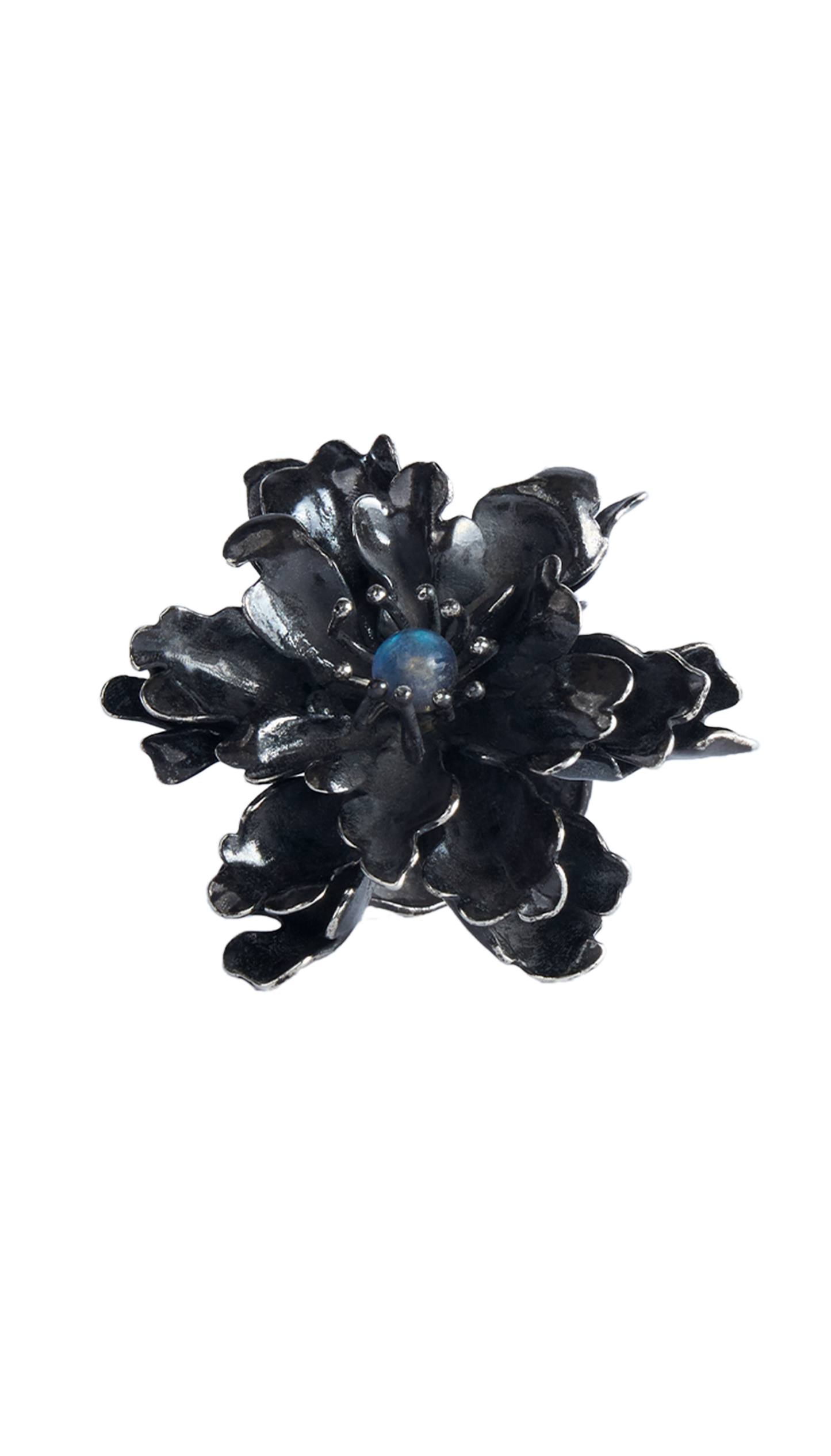 Image at position 1