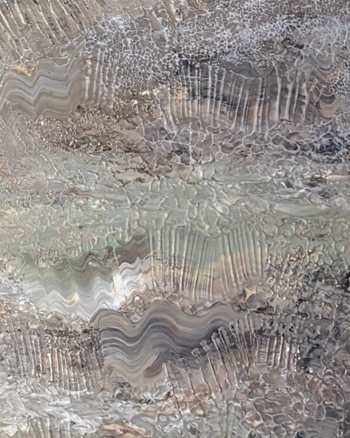 Image at position 6