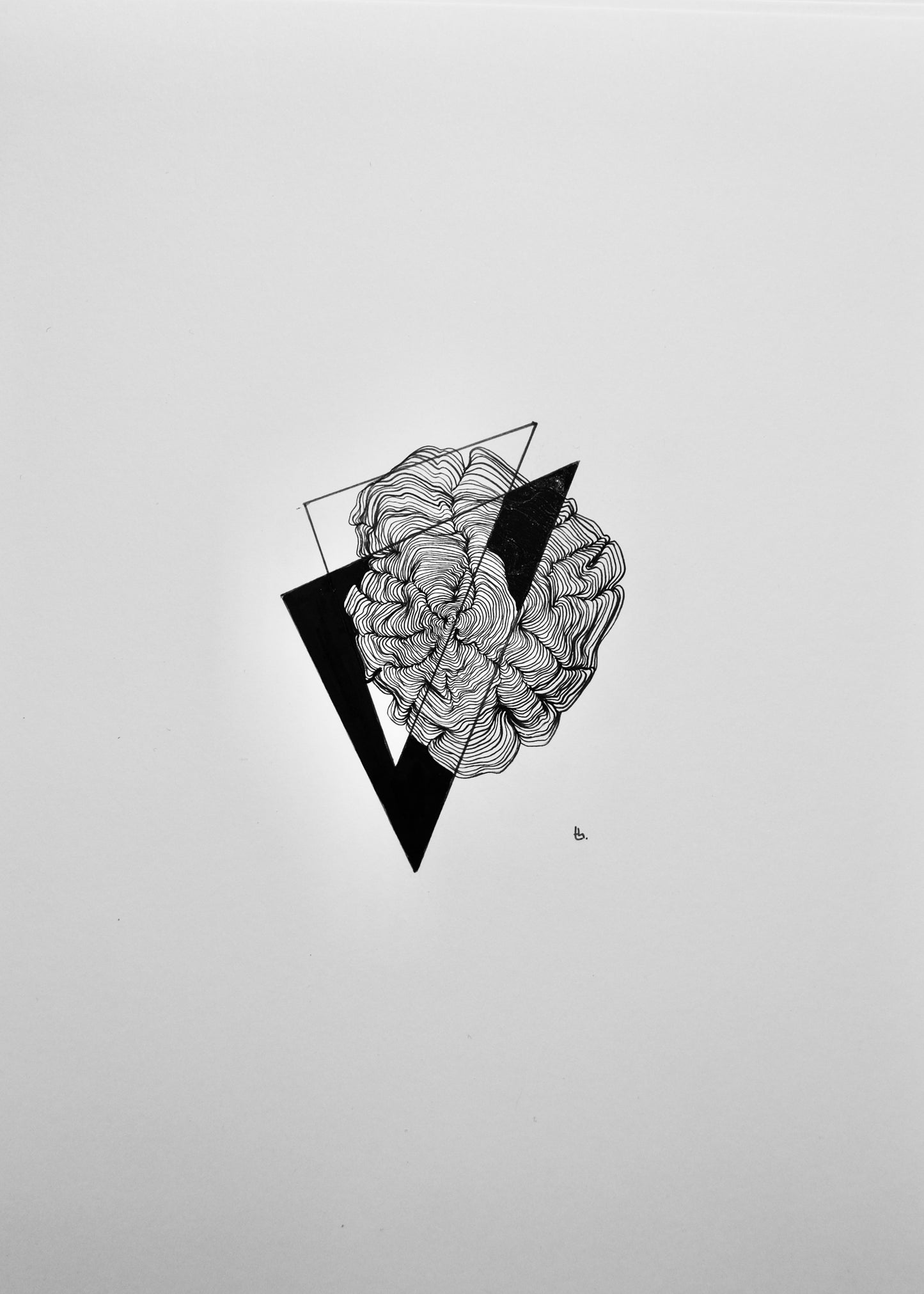 Image at position 2