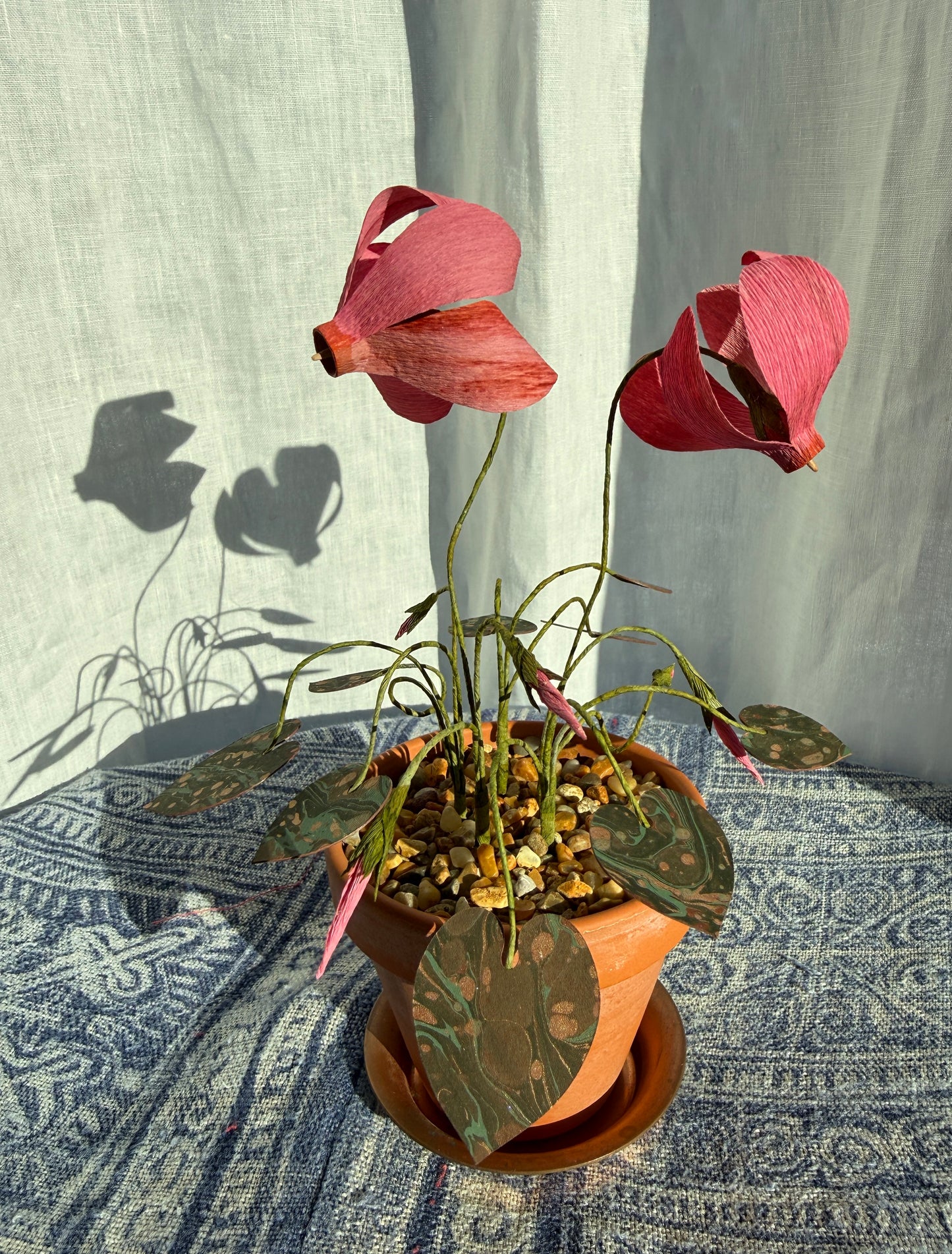 Image at position 1
