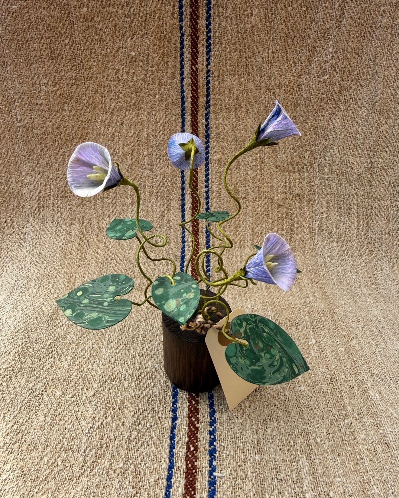 Image at position 1