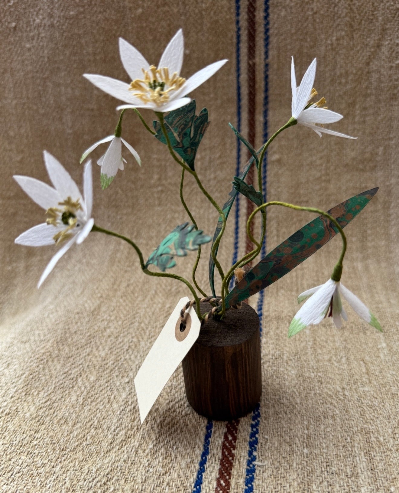 Image at position 1