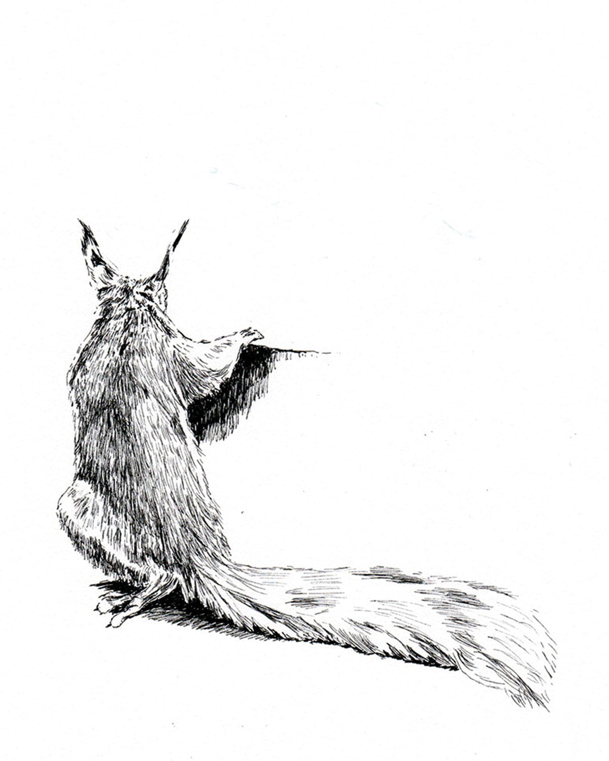 Image at position 1