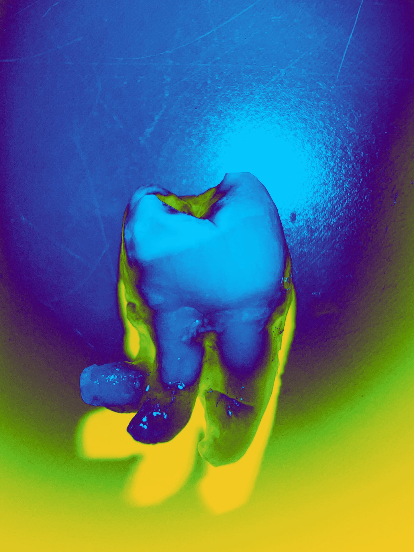 Image at position 1