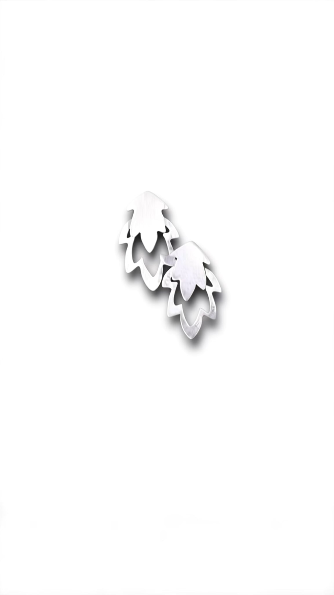 Image at position 1