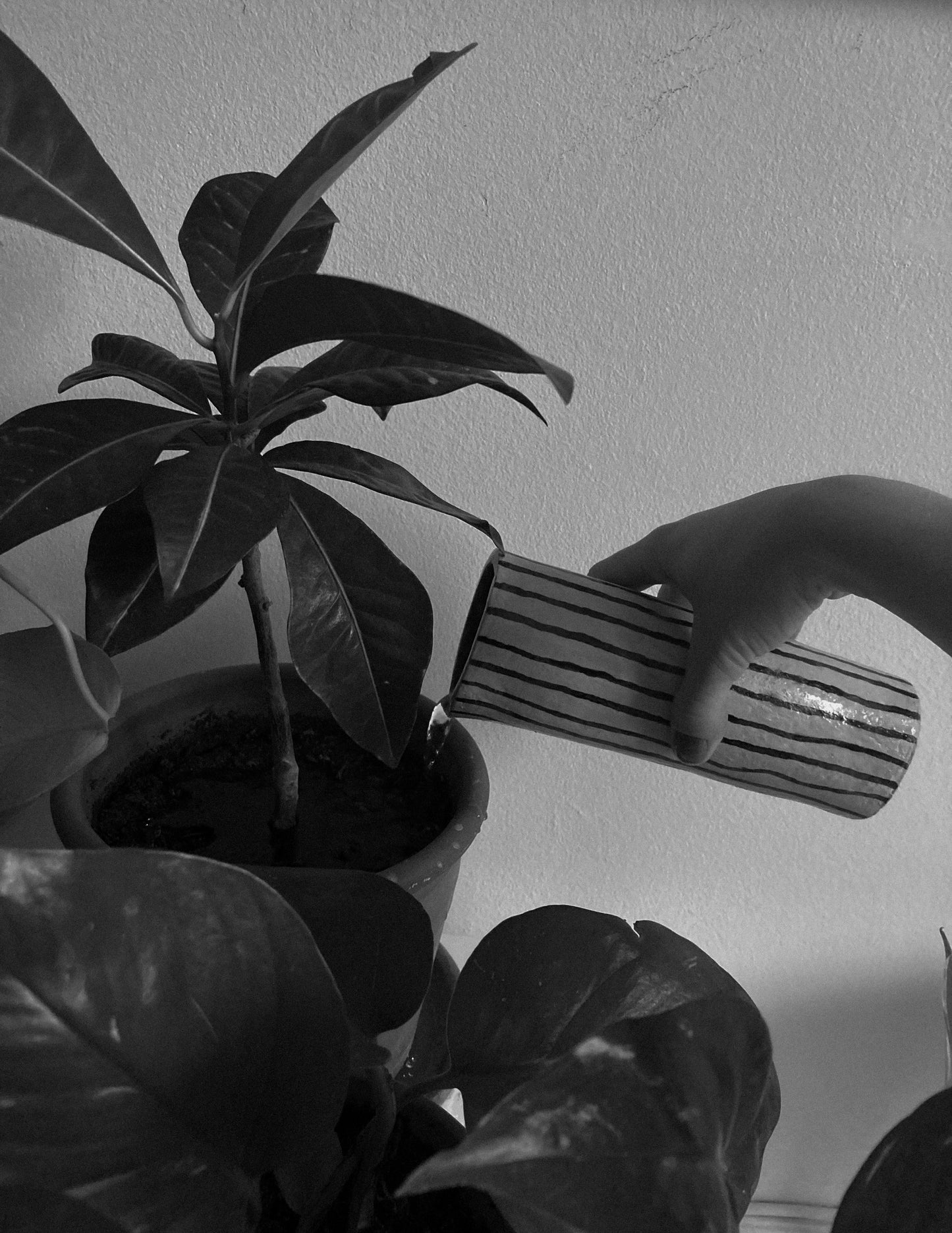 Striped Vase / Carafe