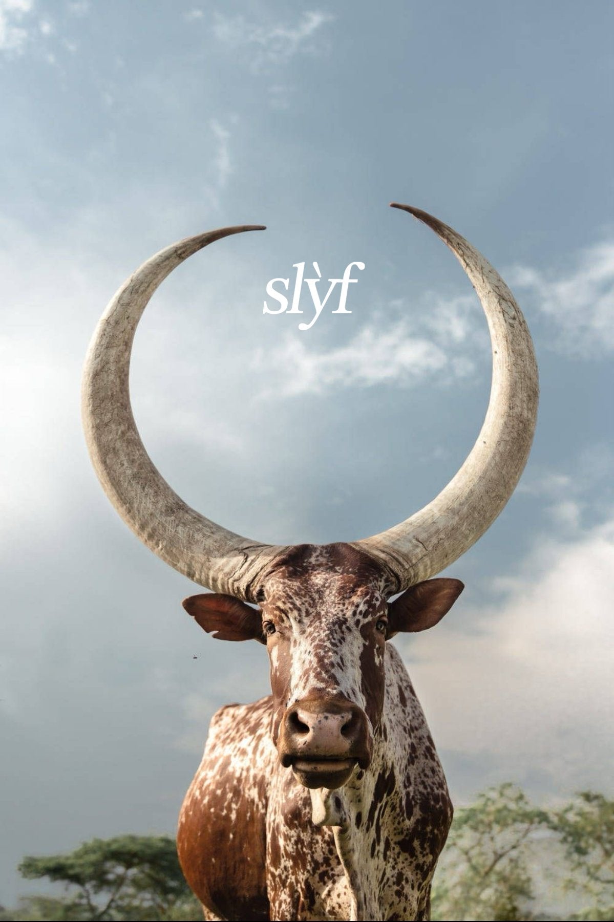 Slyf