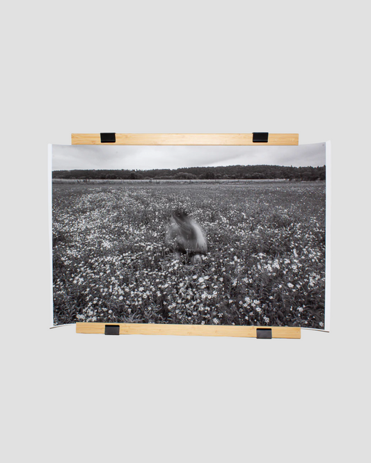 Photo Art: "Snart..." – Originalprint