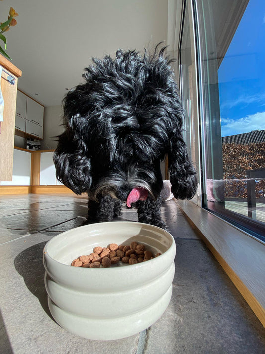 Dog Bowl - Beige (Customizable)