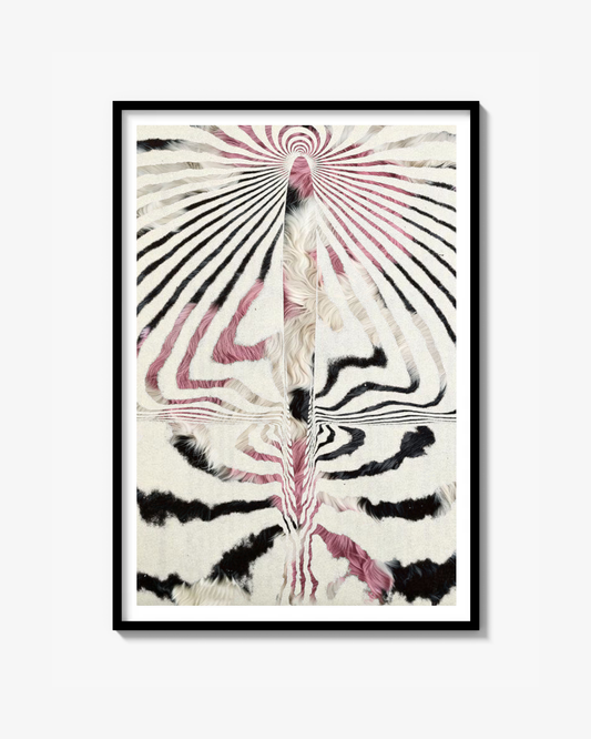 Illusions Print