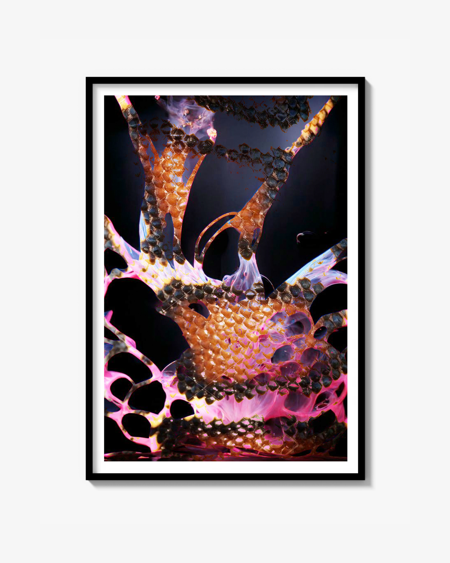Pink Snake Print