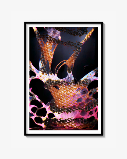 Rosa Slange Print