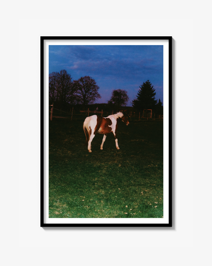 A Horse With No Name - Fine Art Print
