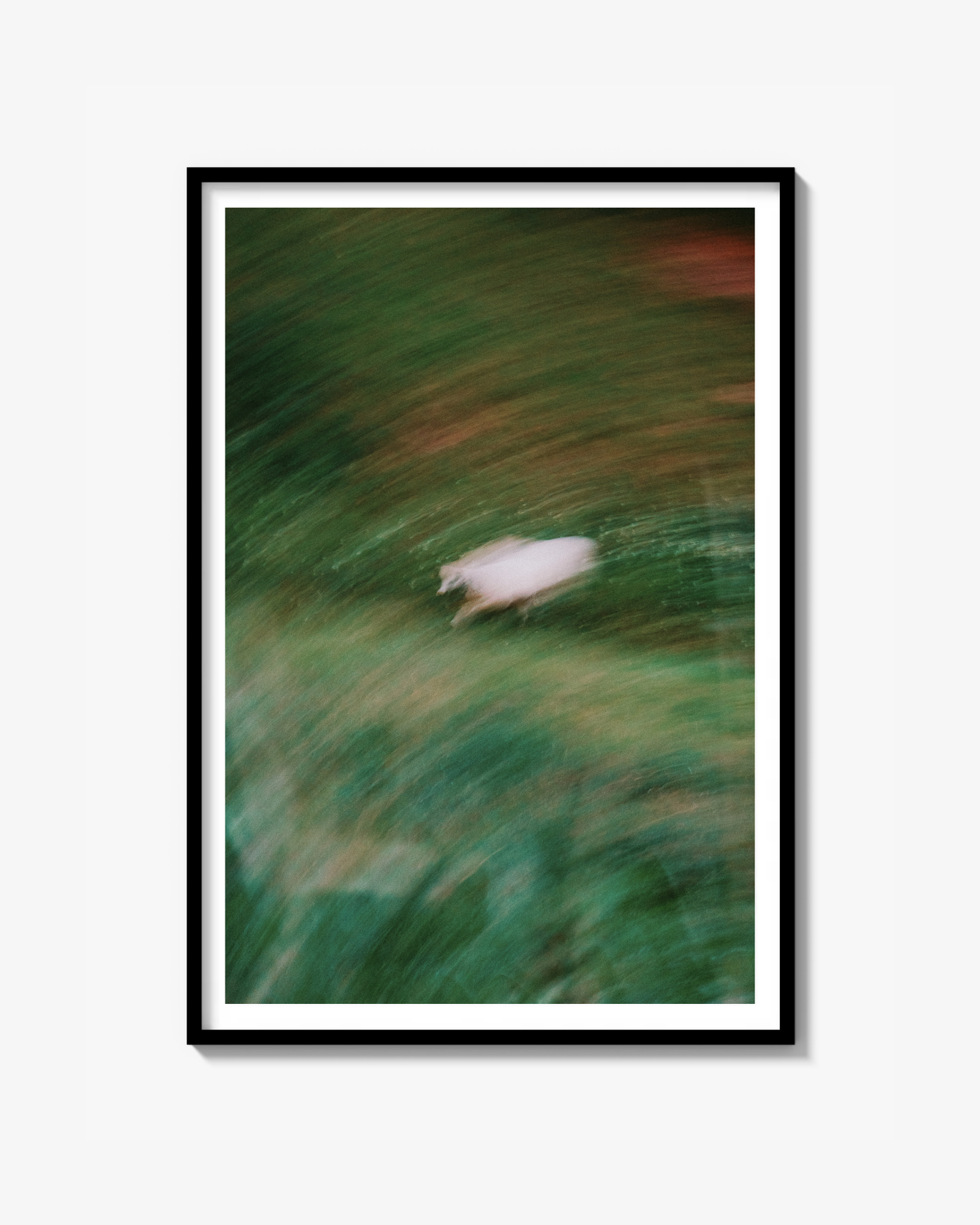 For All The Cows - Fine Art Print