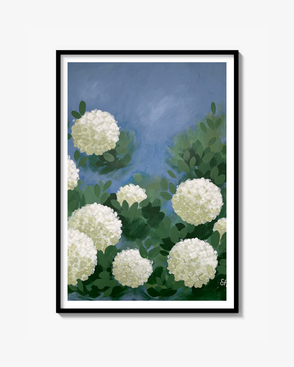 Hortensia Poster