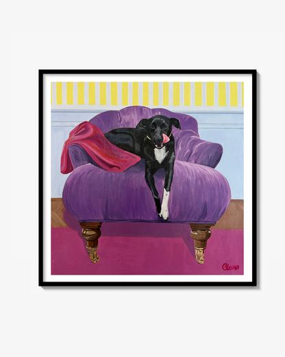Morris in purple sofa Fine Art Print