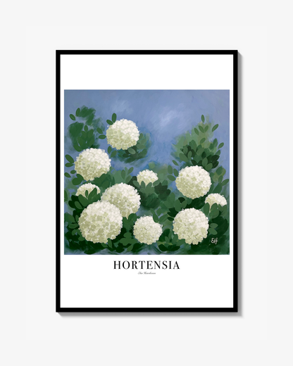 Hortensia Poster text