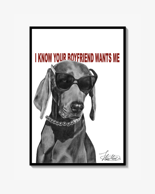 BOYFRIEND - Poster