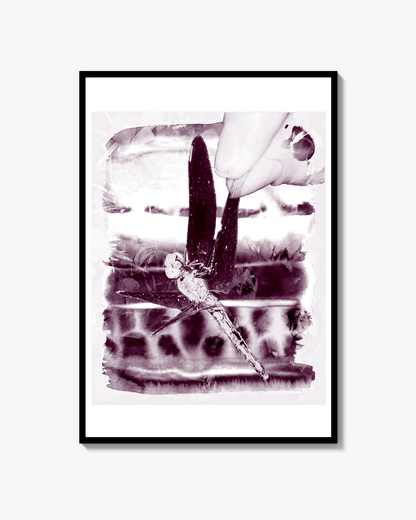 Trollslända Print