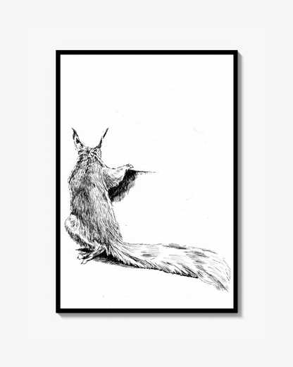 Squirrel Poster
