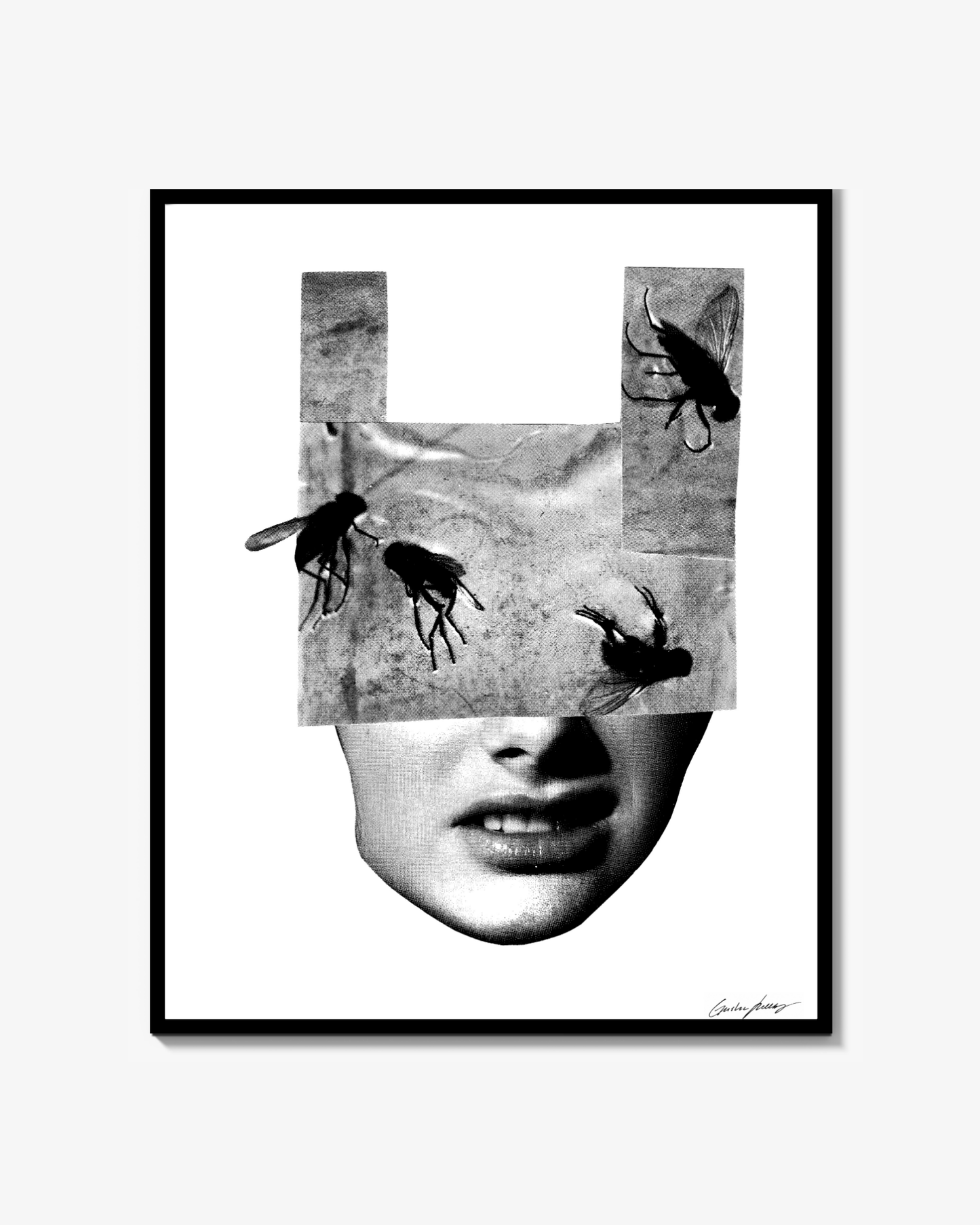 Susceptible Poster