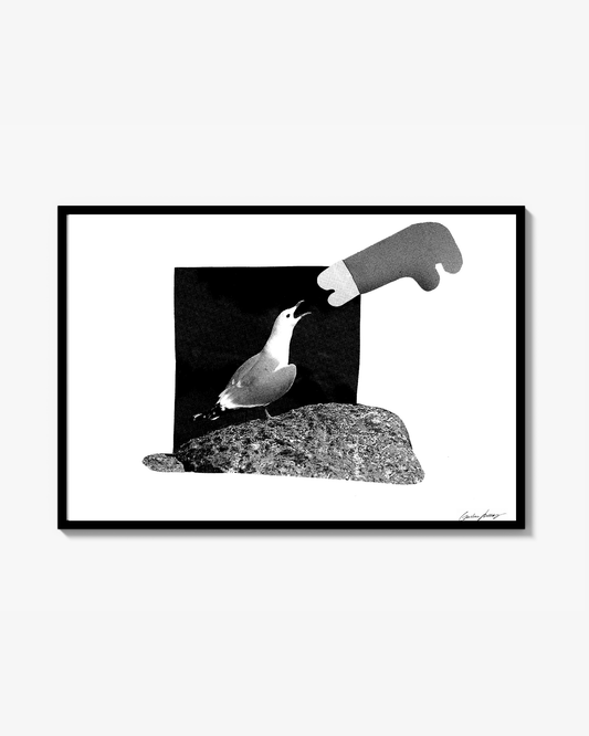 Frustrated Seagull Posters