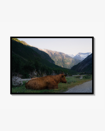 Norway trip - ko