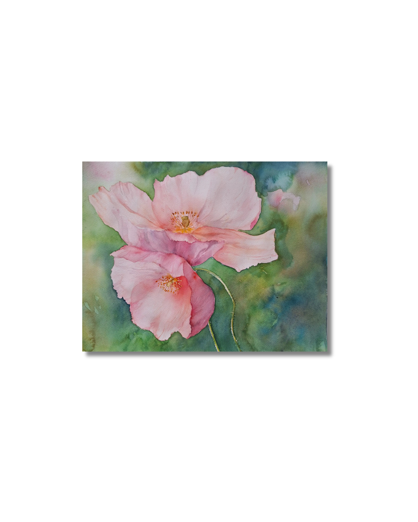 Watercolour Original, pink poppy or Poppy I